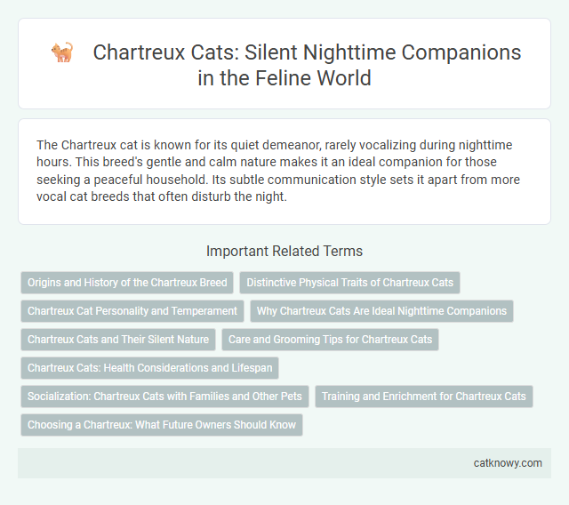 Chartreux Cats: Silent Nighttime Companions in the Feline World