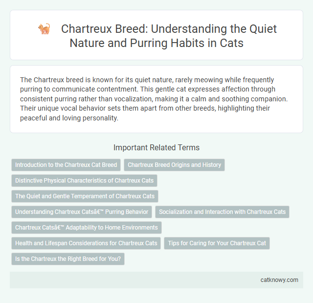 Chartreux Breed: Understanding the Quiet Nature and Purring Habits in Cats