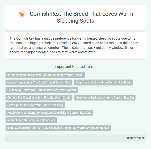Cornish Rex: The Breed That Loves Warm Sleeping Spots