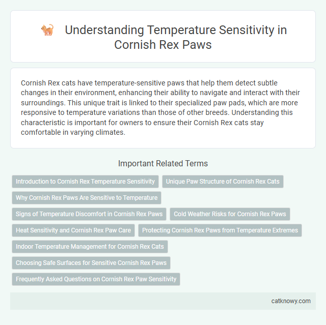 Understanding Temperature Sensitivity in Cornish Rex Paws