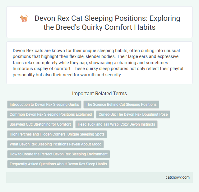 Devon Rex Cat Sleeping Positions: Exploring the Breed's Quirky Comfort Habits
