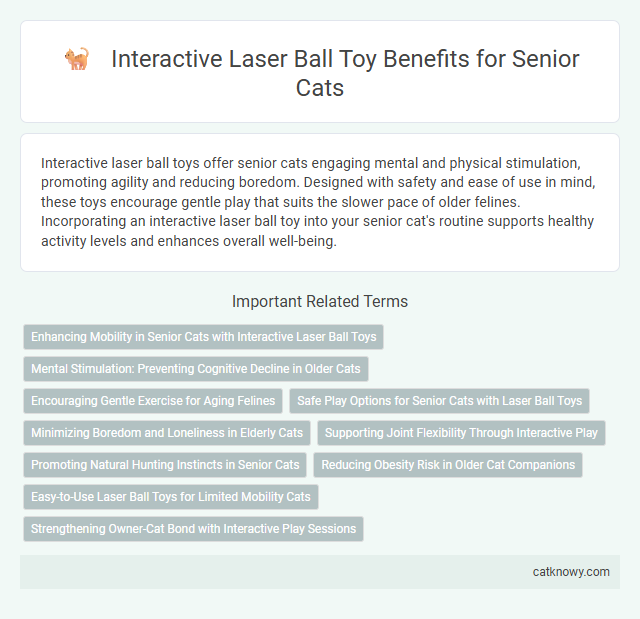 Interactive Laser Ball Toy Benefits for Senior Cats