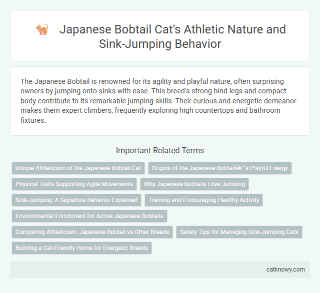 Japanese Bobtail Cat's Athletic Nature and Sink-Jumping Behavior