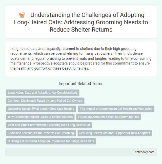 Understanding the Challenges of Adopting Long-Haired Cats: Addressing Grooming Needs to Reduce Shelter Returns