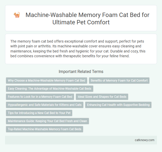 Machine-Washable Memory Foam Cat Bed for Ultimate Pet Comfort