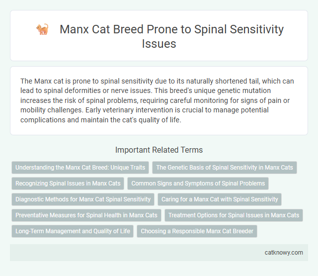 Manx Cat Breed Prone to Spinal Sensitivity Issues