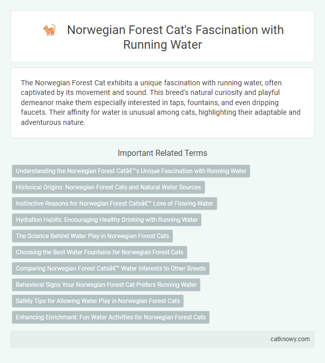 Norwegian Forest Cat's Fascination with Running Water