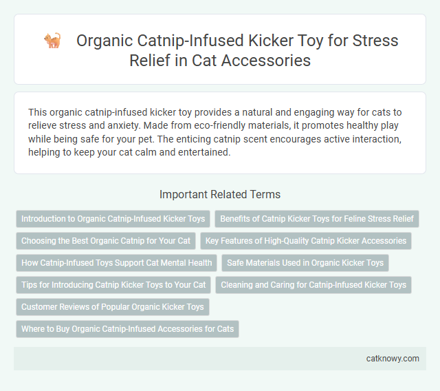 Organic Catnip-Infused Kicker Toy for Stress Relief in Cat Accessories