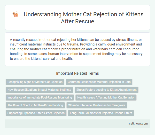 Understanding Mother Cat Rejection of Kittens After Rescue