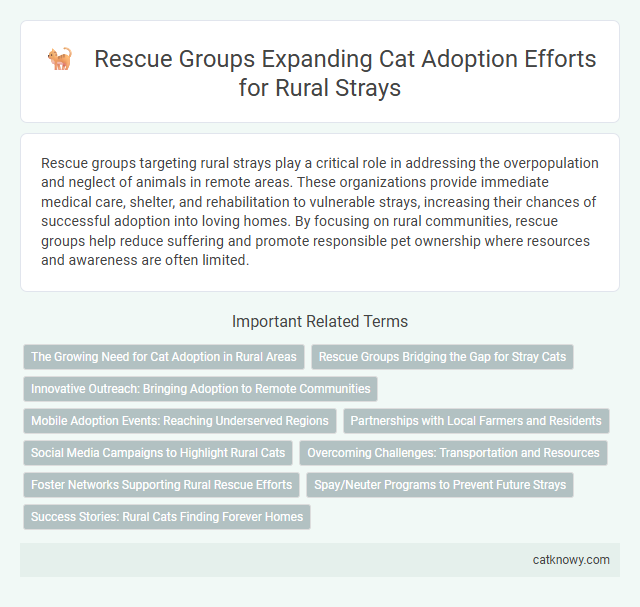 Rescue Groups Expanding Cat Adoption Efforts for Rural Strays