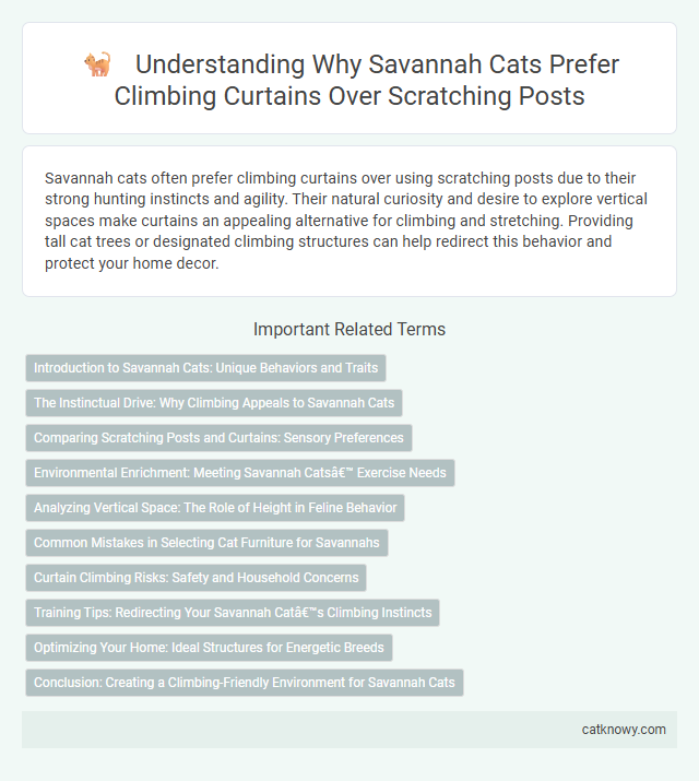 Understanding Why Savannah Cats Prefer Climbing Curtains Over Scratching Posts