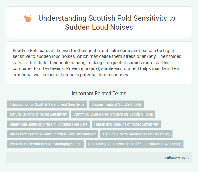 Understanding Scottish Fold Sensitivity to Sudden Loud Noises