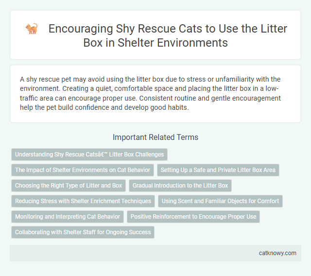 Encouraging Shy Rescue Cats to Use the Litter Box in Shelter Environments