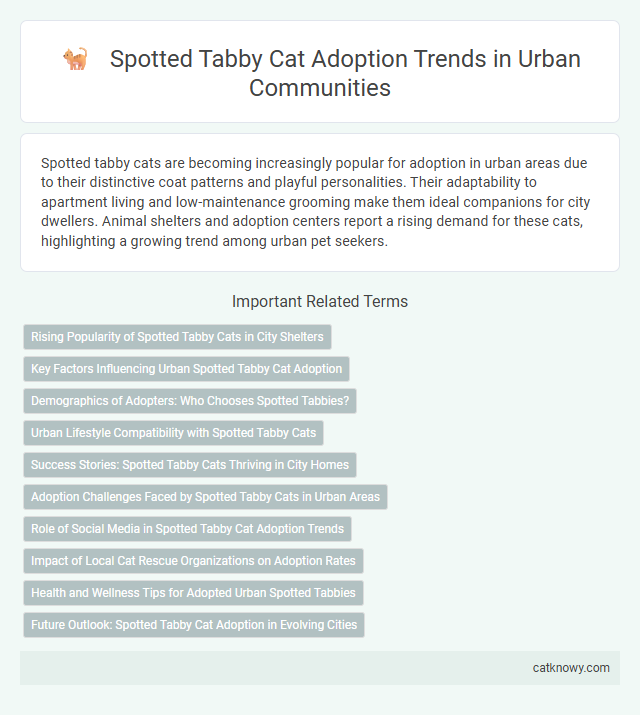 Spotted Tabby Cat Adoption Trends in Urban Communities
