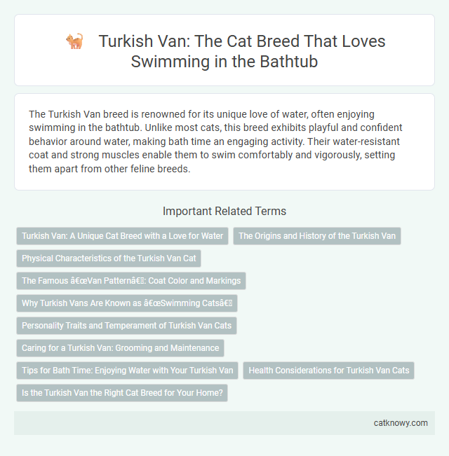 Turkish Van: The Cat Breed That Loves Swimming in the Bathtub