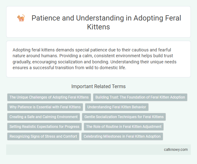 Patience and Understanding in Adopting Feral Kittens