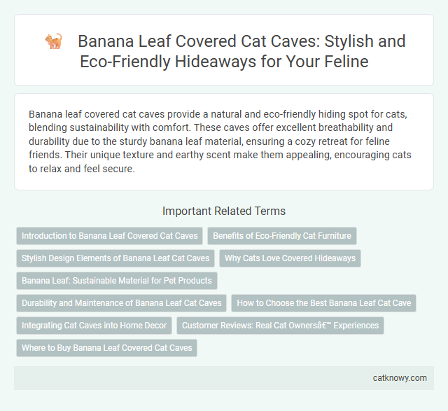 Banana Leaf Covered Cat Caves: Stylish and Eco-Friendly Hideaways for Your Feline