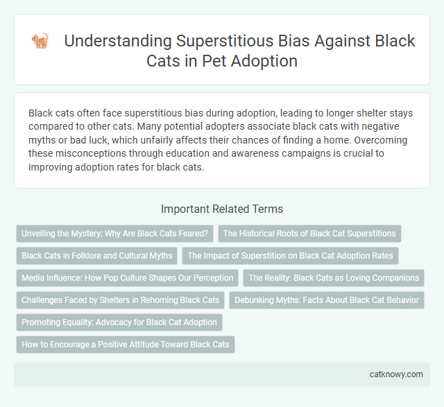Understanding Superstitious Bias Against Black Cats in Pet Adoption