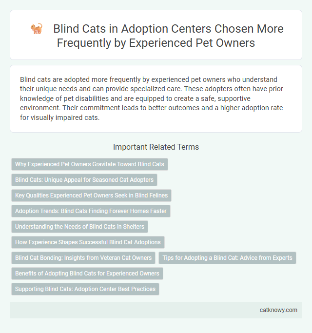 Blind Cats in Adoption Centers Chosen More Frequently by Experienced Pet Owners