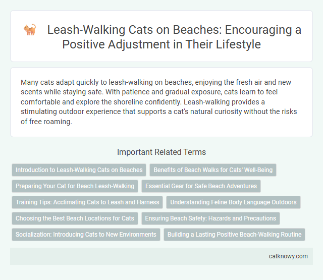 Leash-Walking Cats on Beaches: Encouraging a Positive Adjustment in Their Lifestyle