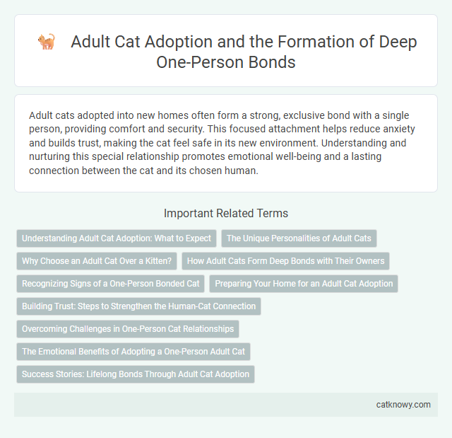 Adult Cat Adoption and the Formation of Deep One-Person Bonds