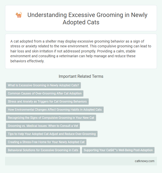 Understanding Excessive Grooming in Newly Adopted Cats