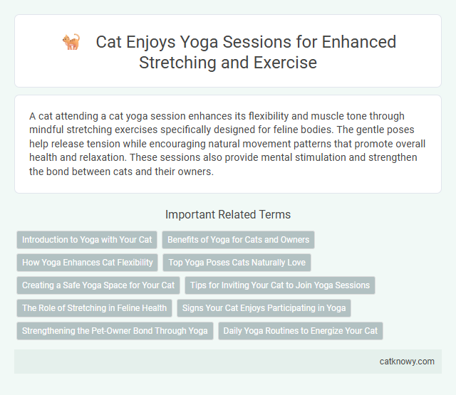 Cat Enjoys Yoga Sessions for Enhanced Stretching and Exercise