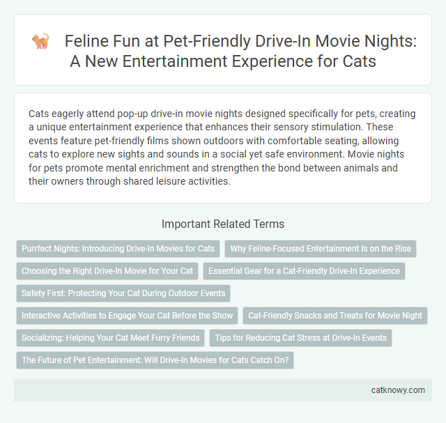 Feline Fun at Pet-Friendly Drive-In Movie Nights: A New Entertainment Experience for Cats