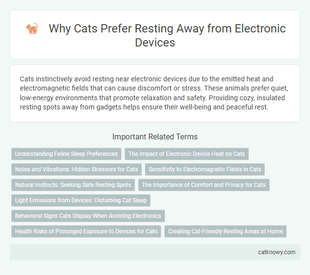 Why Cats Prefer Resting Away from Electronic Devices
