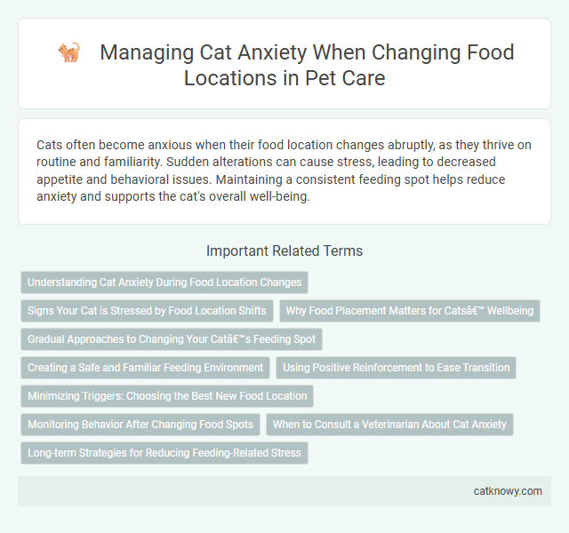 Managing Cat Anxiety When Changing Food Locations in Pet Care