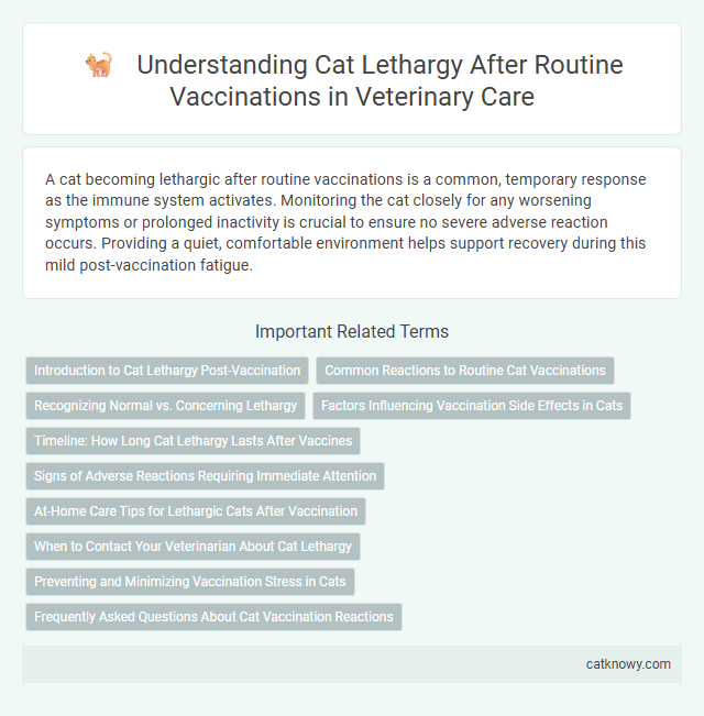 Understanding Cat Lethargy After Routine Vaccinations in Veterinary Care
