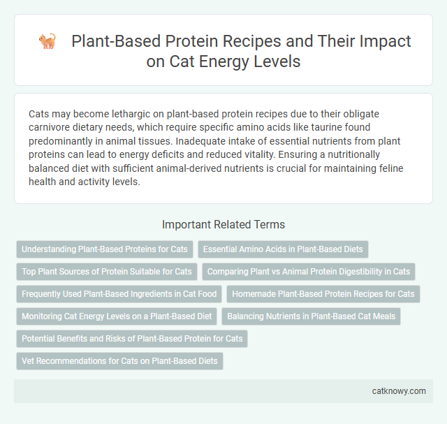 Plant-Based Protein Recipes and Their Impact on Cat Energy Levels