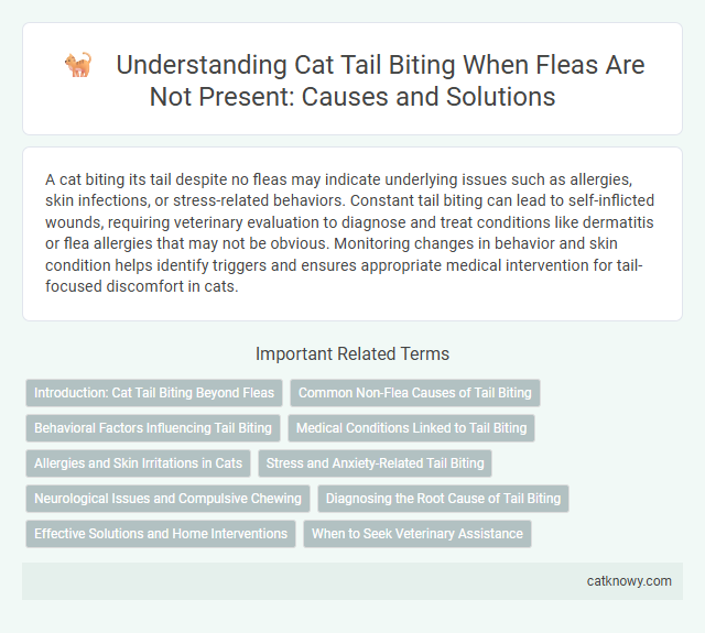 Understanding Cat Tail Biting When Fleas Are Not Present: Causes and Solutions