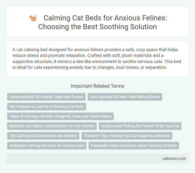 Calming Cat Beds for Anxious Felines: Choosing the Best Soothing Solution