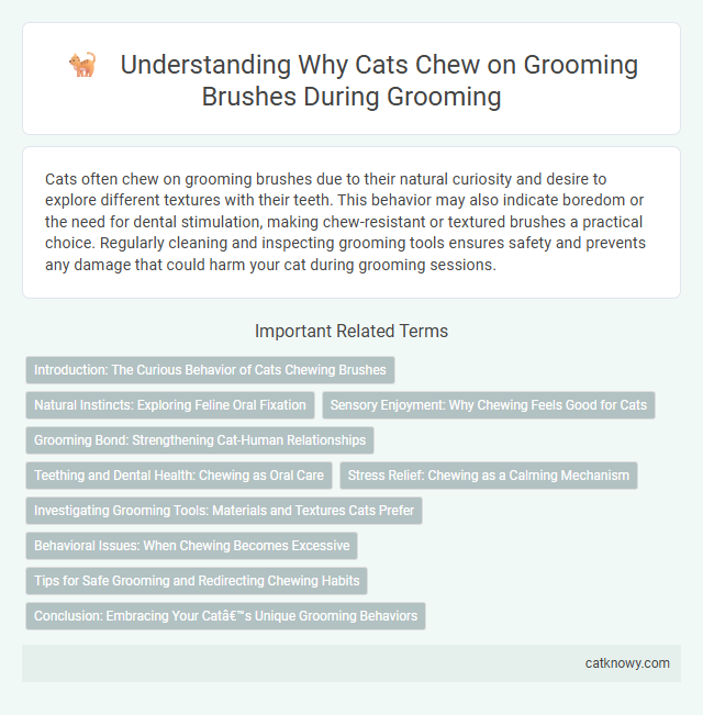 Understanding Why Cats Chew on Grooming Brushes During Grooming
