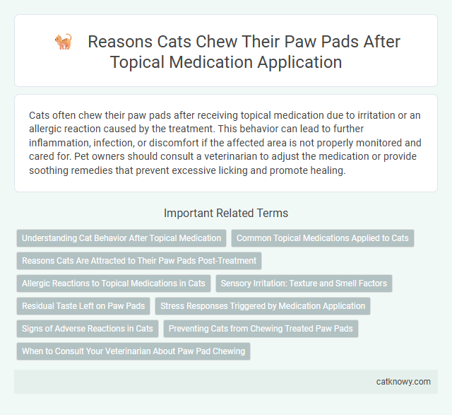 Reasons Cats Chew Their Paw Pads After Topical Medication Application
