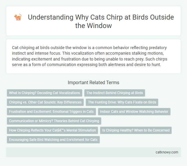Understanding Why Cats Chirp at Birds Outside the Window