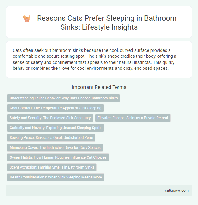 Reasons Cats Prefer Sleeping in Bathroom Sinks: Lifestyle Insights