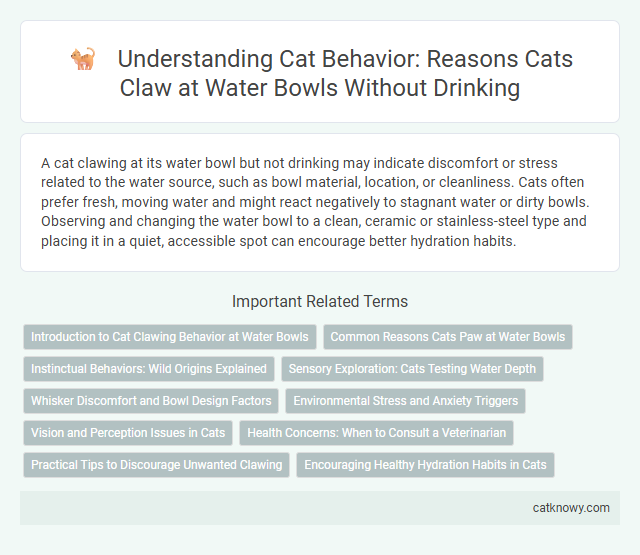 Understanding Cat Behavior: Reasons Cats Claw at Water Bowls Without Drinking