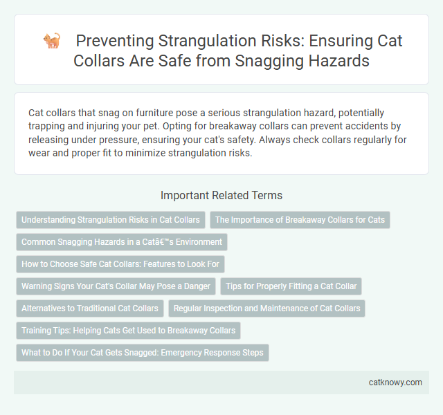 Preventing Strangulation Risks: Ensuring Cat Collars Are Safe from Snagging Hazards
