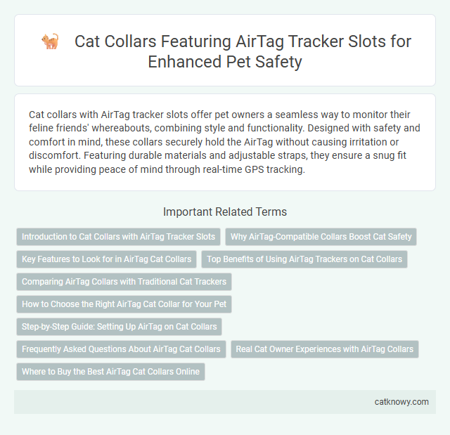 Cat Collars Featuring AirTag Tracker Slots for Enhanced Pet Safety