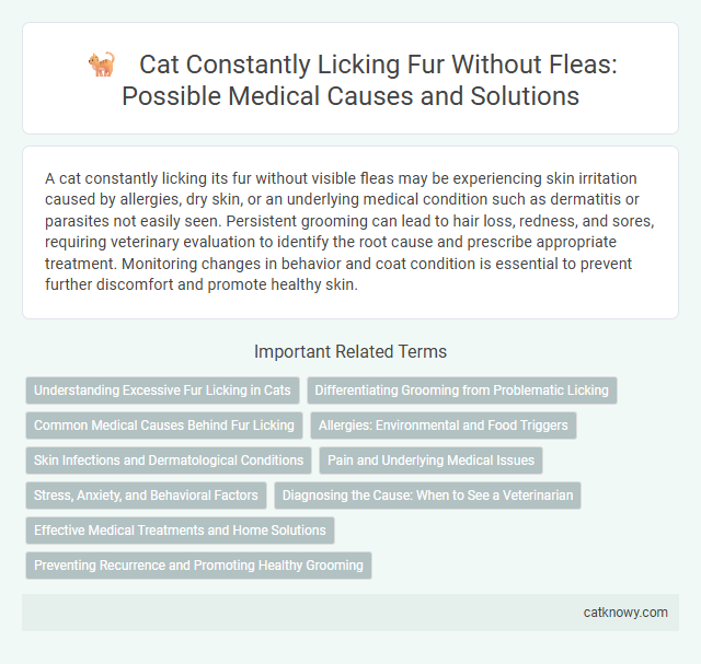 Cat Constantly Licking Fur Without Fleas: Possible Medical Causes and Solutions