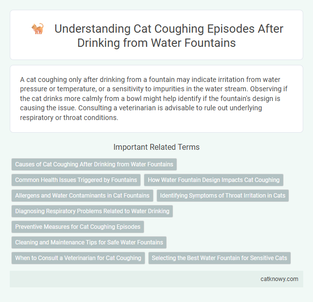 Understanding Cat Coughing Episodes After Drinking from Water Fountains