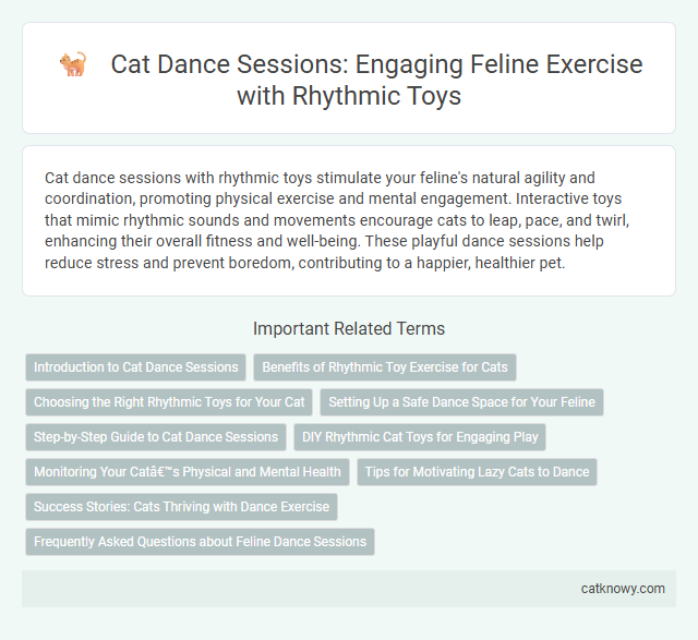 Cat Dance Sessions: Engaging Feline Exercise with Rhythmic Toys