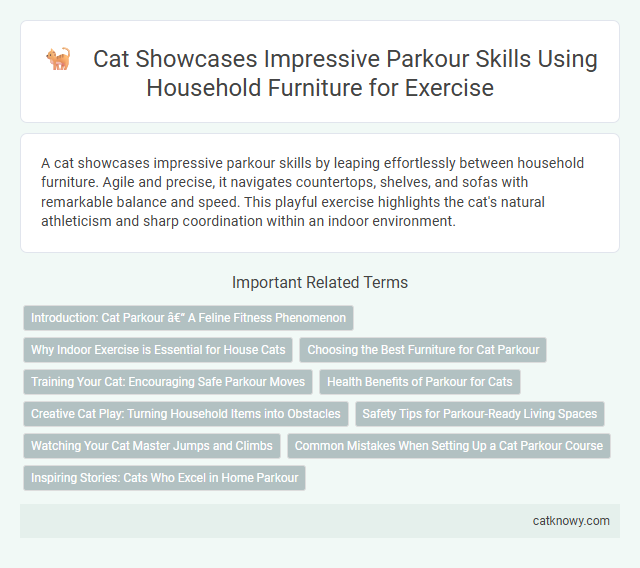 Cat Showcases Impressive Parkour Skills Using Household Furniture for Exercise