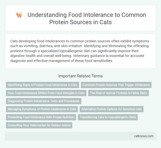 Understanding Food Intolerance to Common Protein Sources in Cats