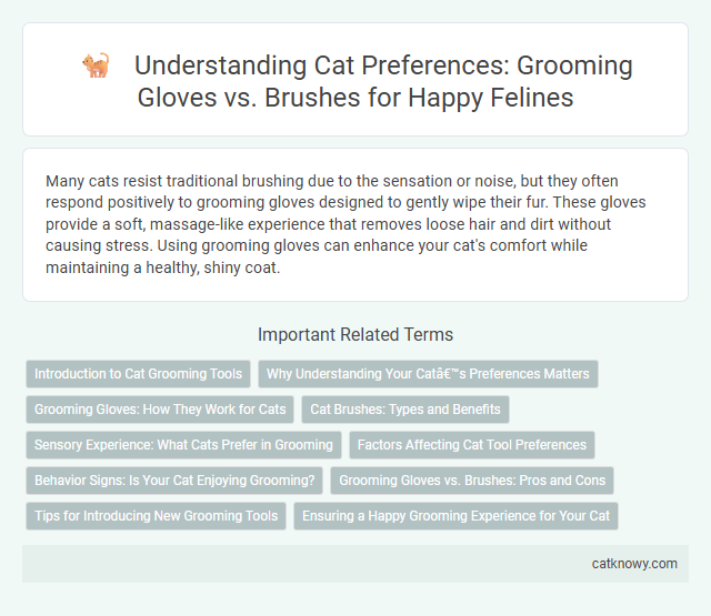 Understanding Cat Preferences: Grooming Gloves vs. Brushes for Happy Felines