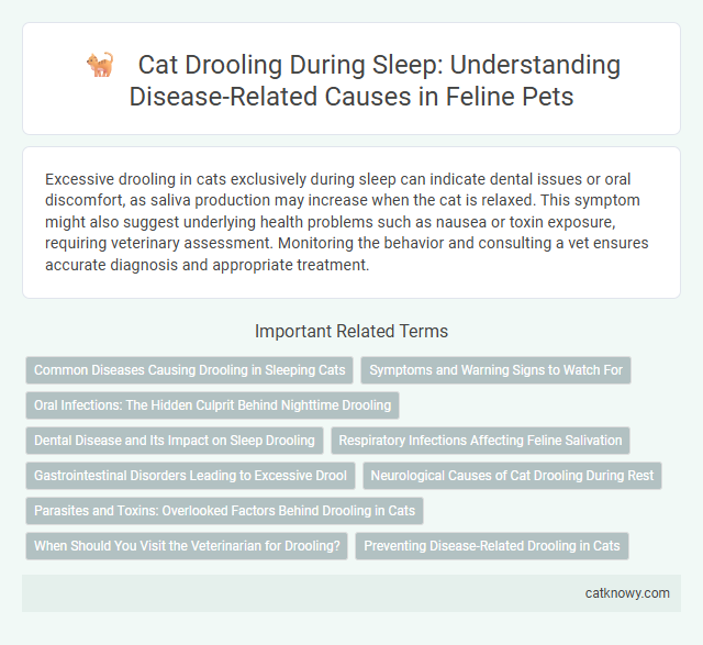 Cat Drooling During Sleep: Understanding Disease-Related Causes in Feline Pets