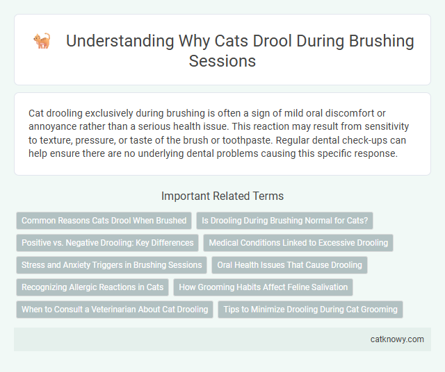 Understanding Why Cats Drool During Brushing Sessions