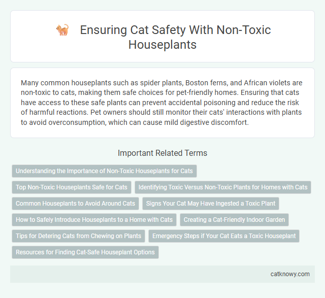 Ensuring Cat Safety With Non-Toxic Houseplants